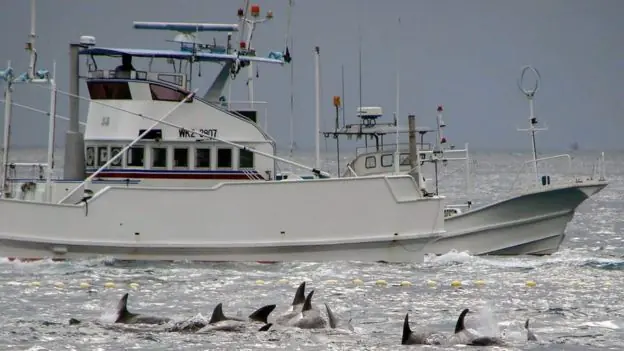 ballenas