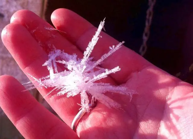 Arranca el día con una sonrisa,pasa