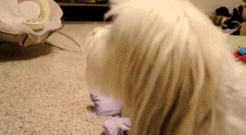 gifs-wasted recopilación