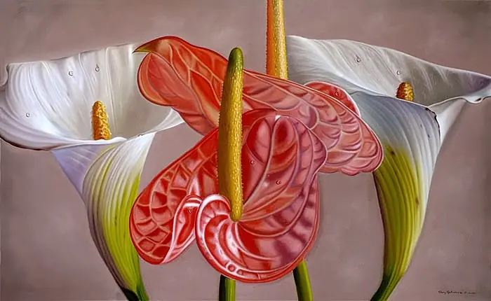 flores