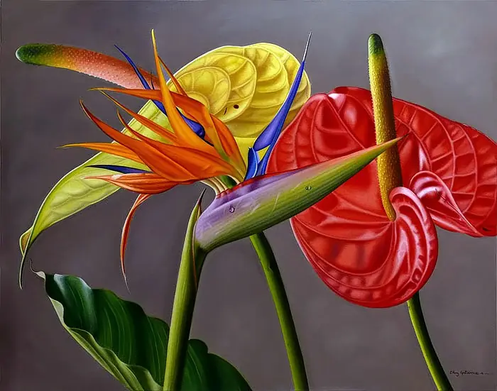 flores