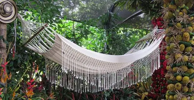 siesta