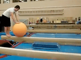 Gifs