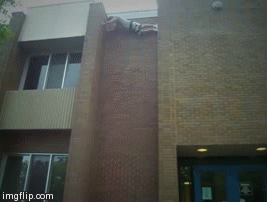 gifs-wasted recopilación