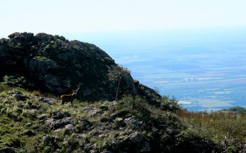 Estancia Faunistica en Catamarca, vení y mirá