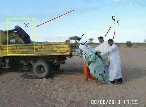 Humor