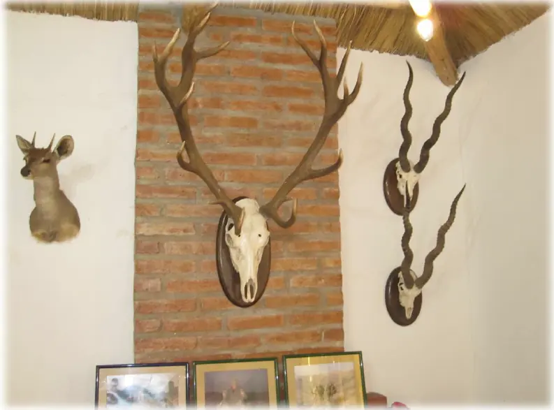 Estancia Faunistica en Catamarca, vení y mirá