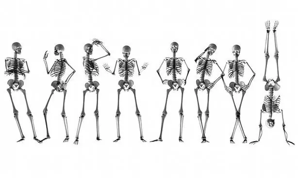 esto es lo que le pasa al cuerpo