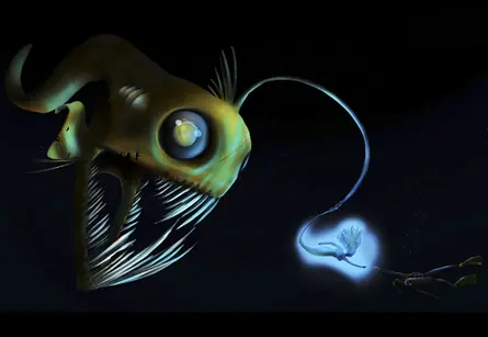 ilustrador