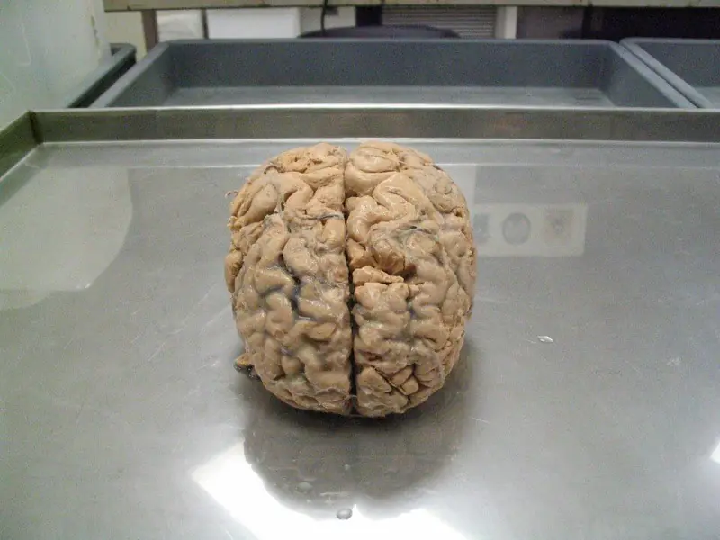 ciencia ciencia