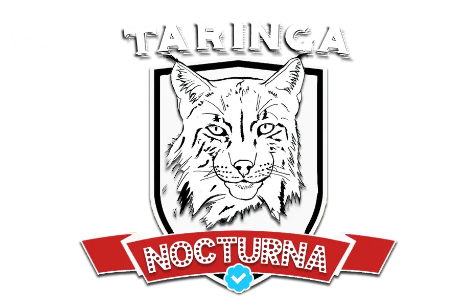 Radio Taringa Nocturna de fiesta...