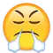 manera