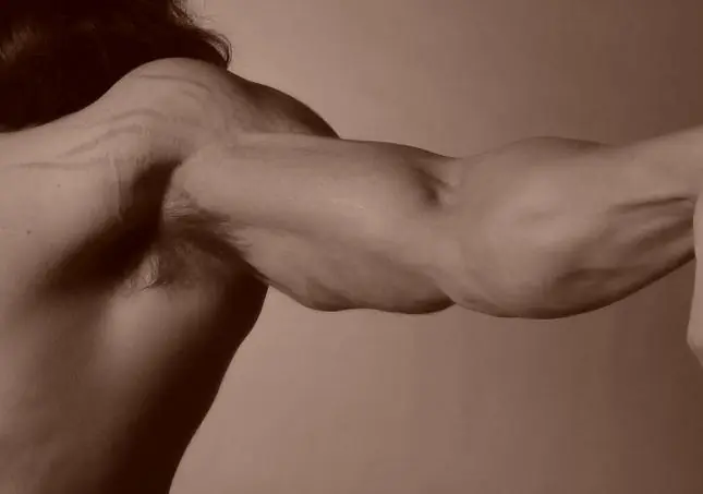 gordo gordo