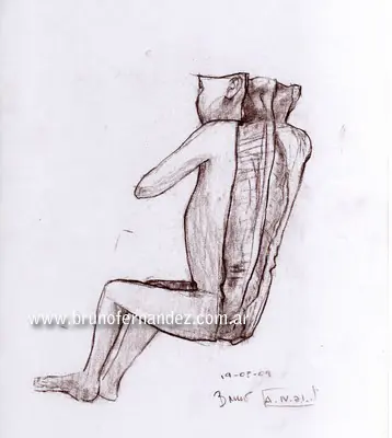 Anatomia Humana