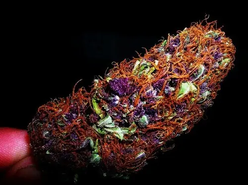 La marihuana hace mal