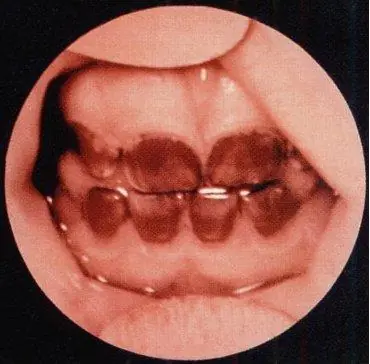 Sorprendentes Curiosidades Historicas (Megapost)