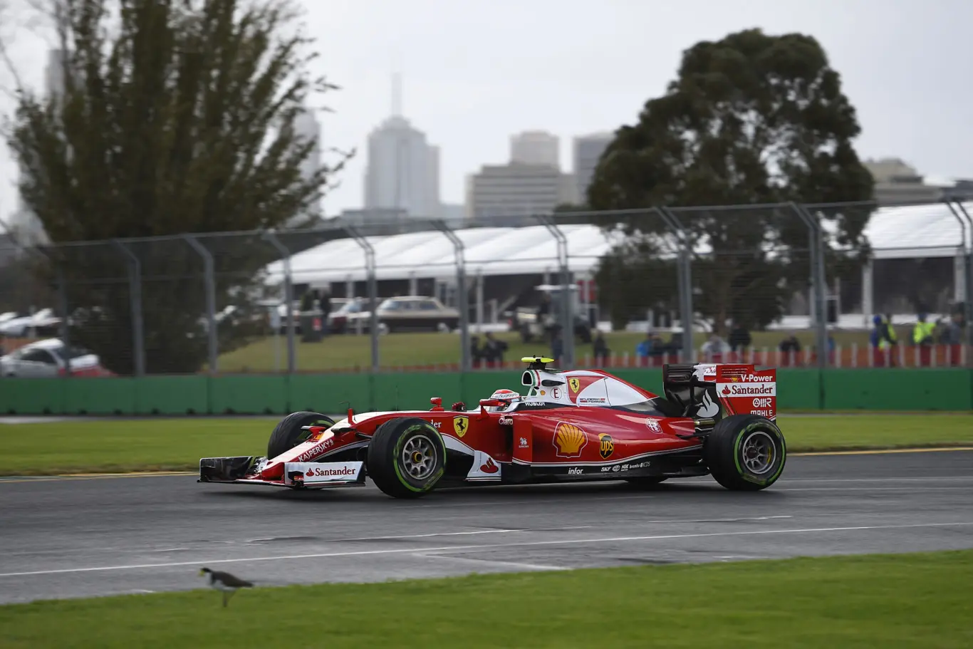 formula 1 formula 1