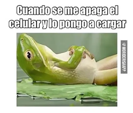 humor