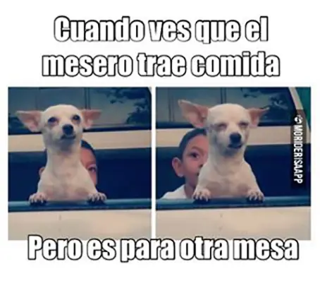 Imagenes