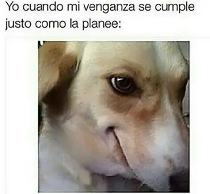 risas