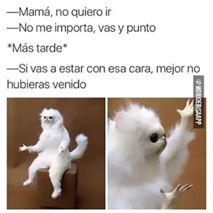 humor