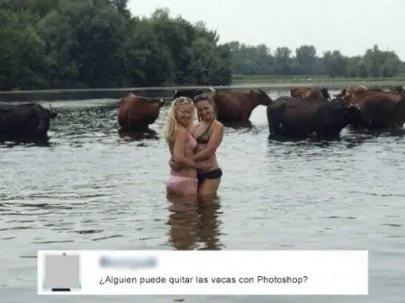 imagenes graciosas imagenes graciosas