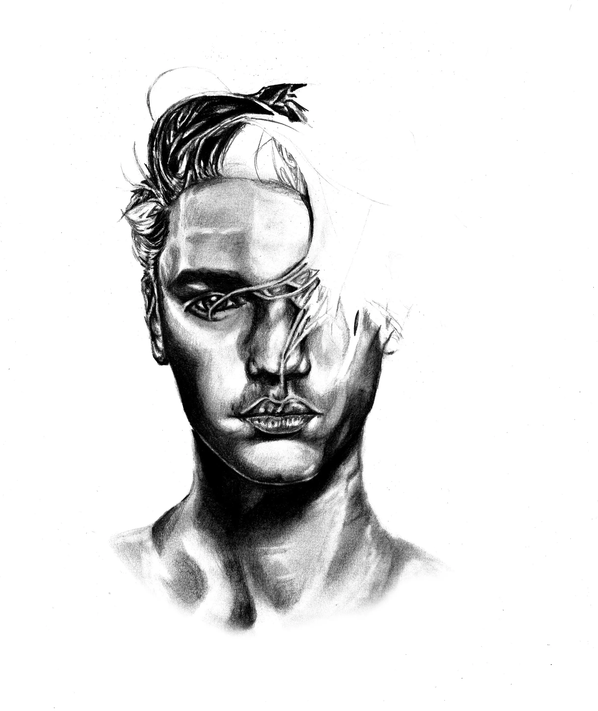 dibujo