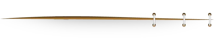 Elementary