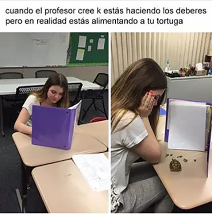 humor
