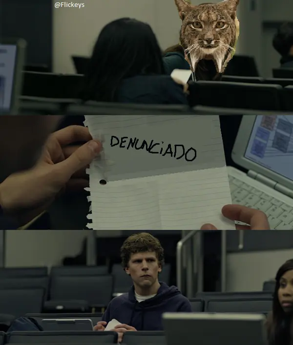 denunciado