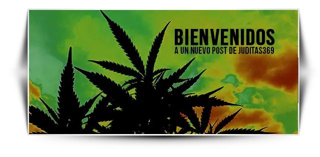 Marihuana | 7 razones para que nunca la fumes