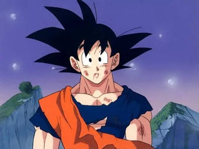 Gokù es el verdadero villano de dragon ball?