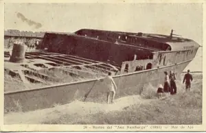 tuyú