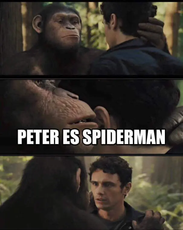 imagenes