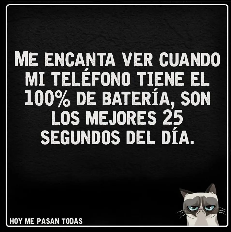 hoy