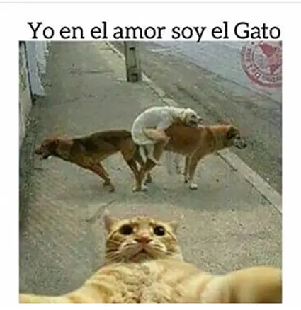 megapost