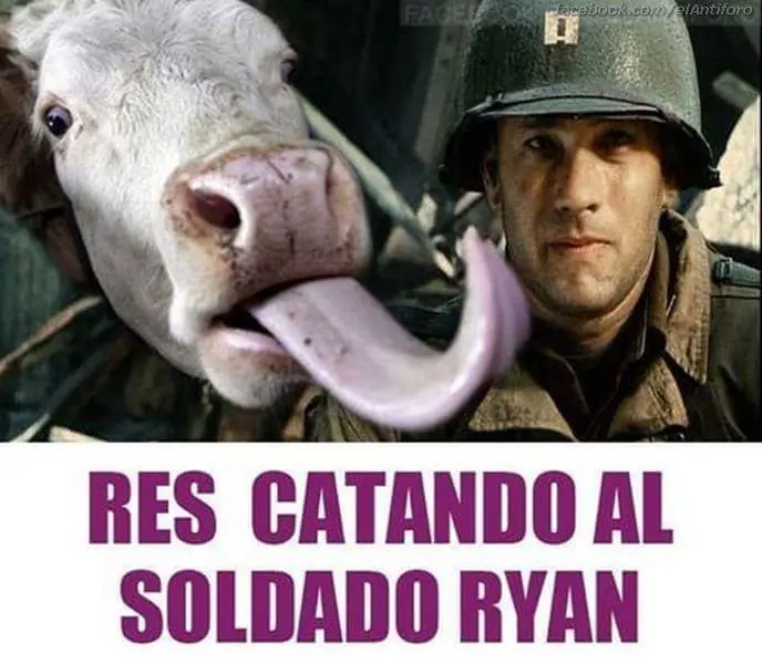 cinefilos