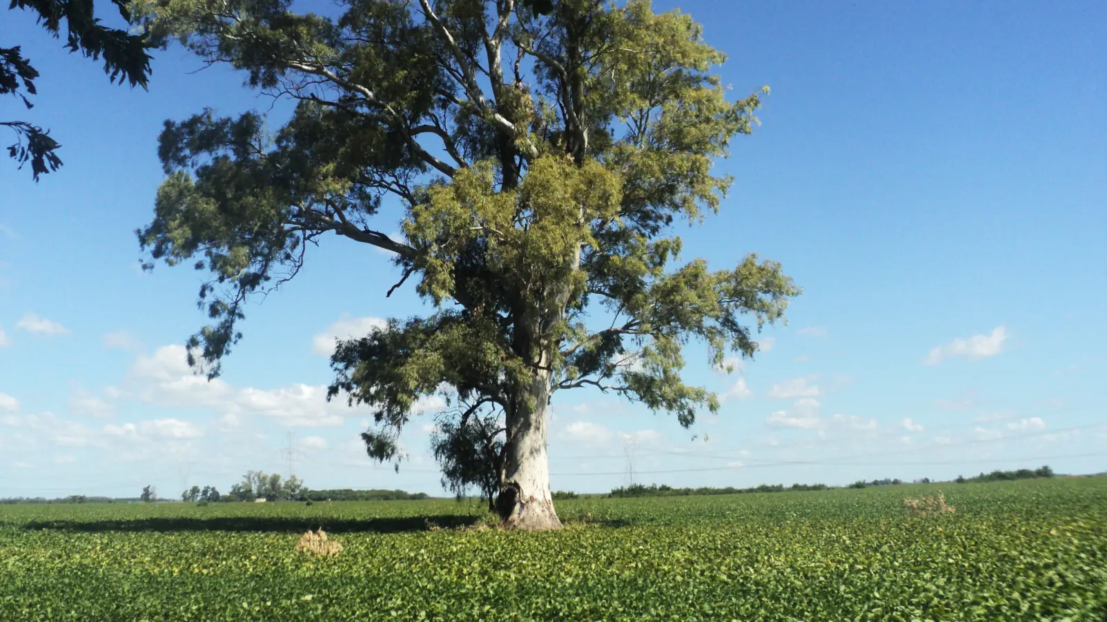 Viaje a Entre Ríos en Moto