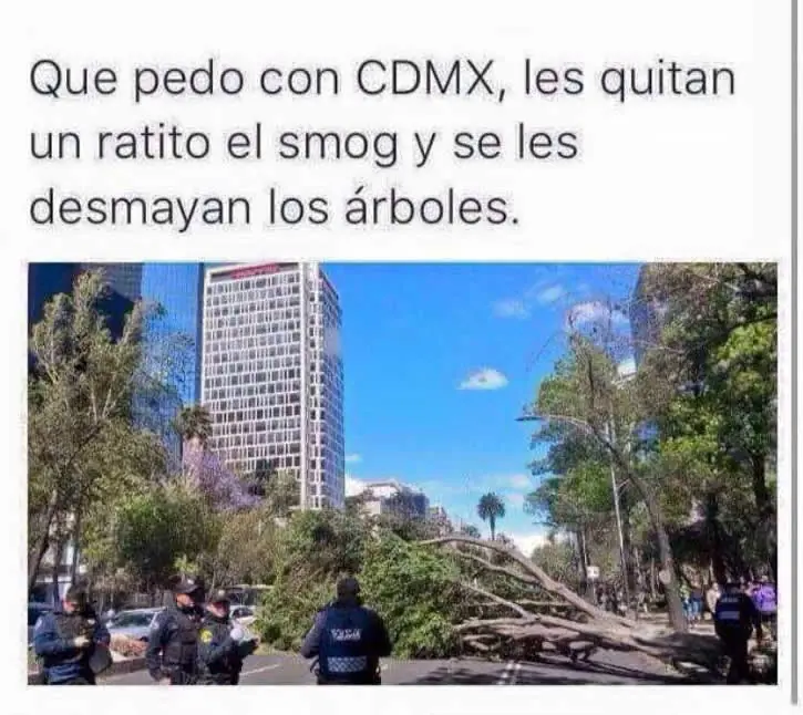 humor