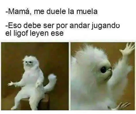 meme