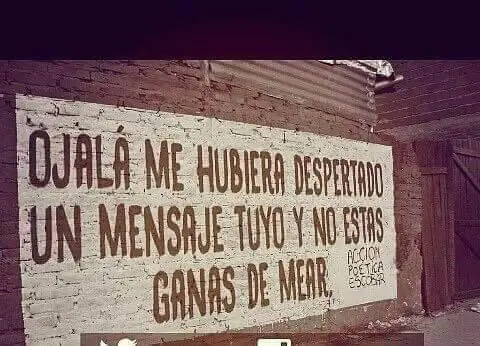 imagenes divertidas