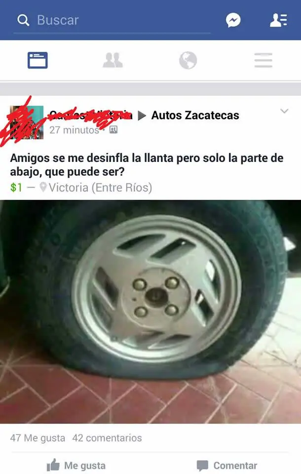 fotos