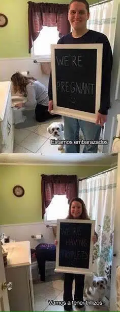 Aburrido? Entrá papu, el mejor humor en un solo megapost