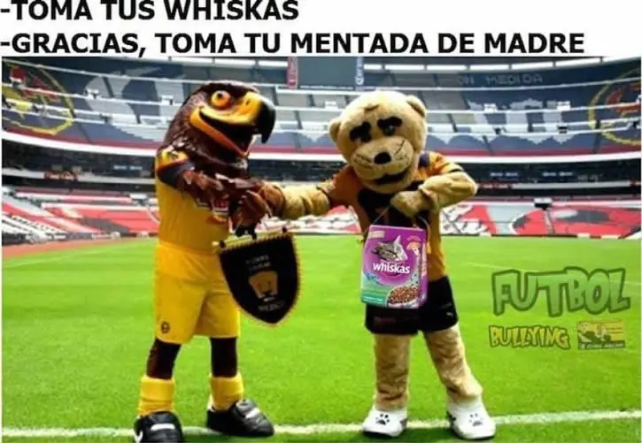fotos