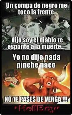 fotos