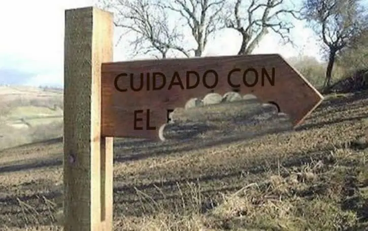 humor