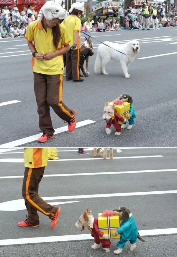 meme