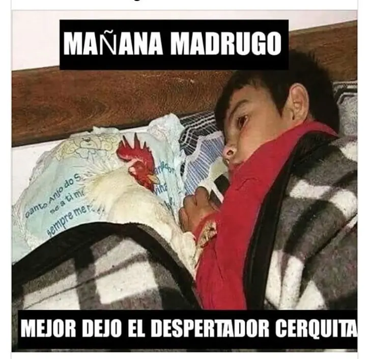 compilado