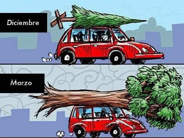 entretenimiento