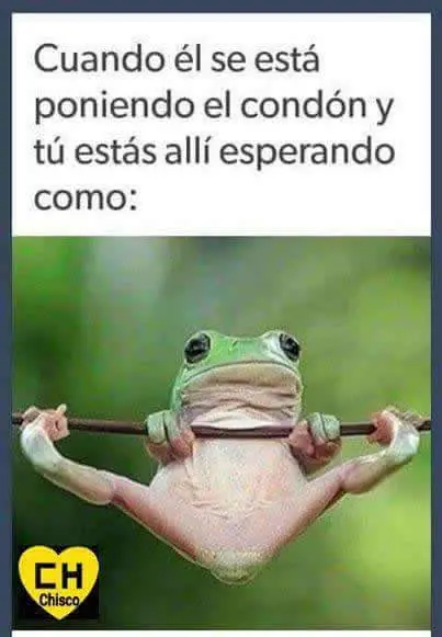 compilado